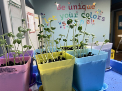 Kids at the clinic and CTCA earned their green thumb in the Spring.