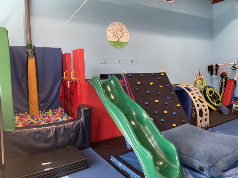Ball pit, slide, and rock wall at CPTWC
